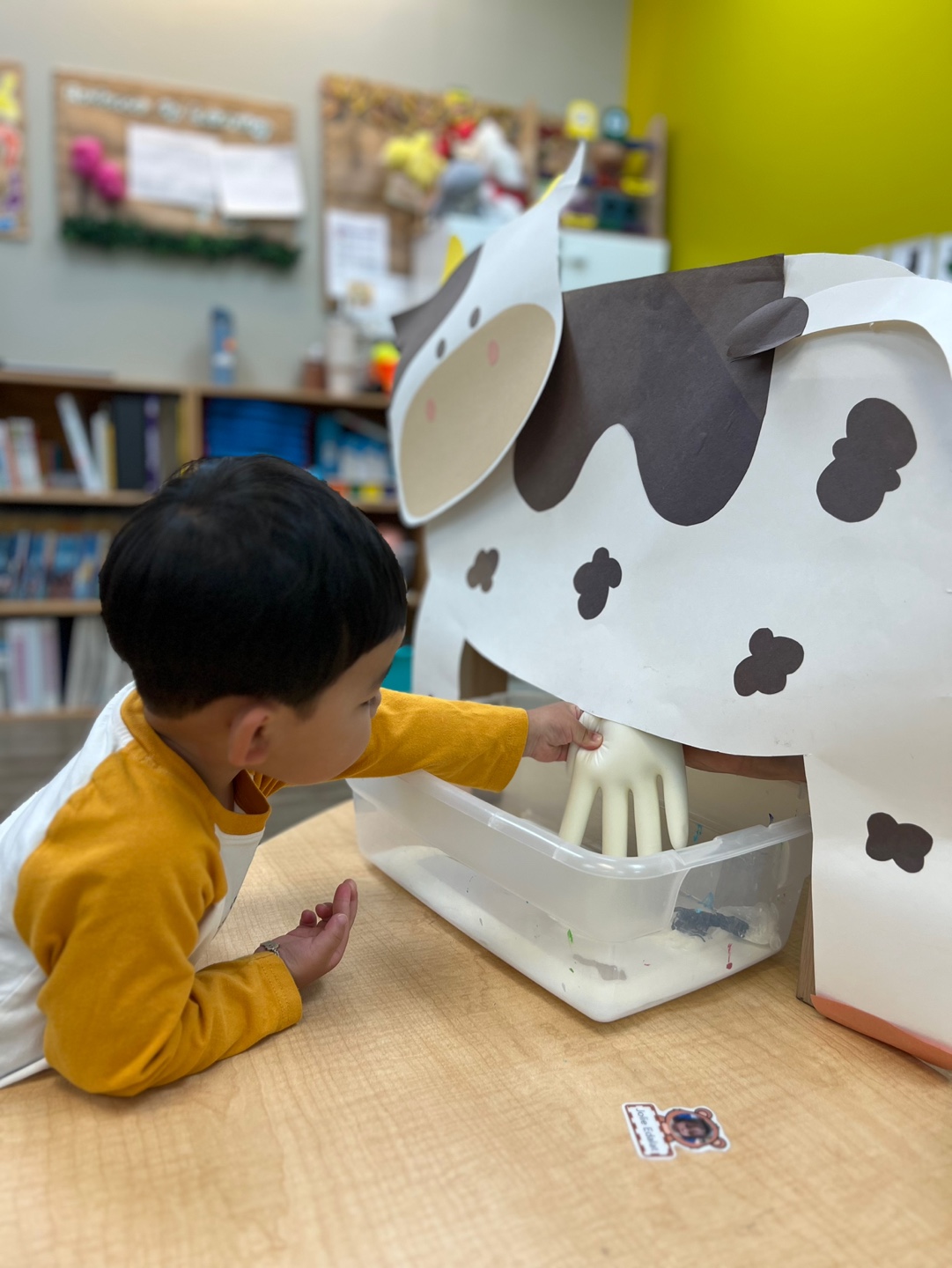 Learning about Land Animals
